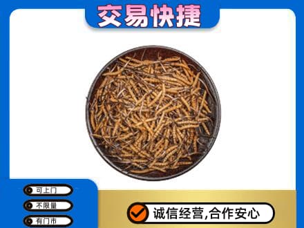 剑川县回收散虫草